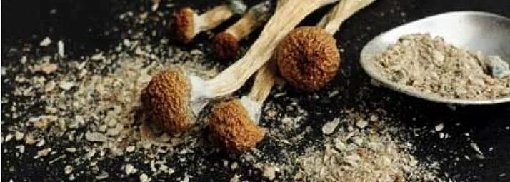 Beauty Trends 2025: Mushrooms, Textures, and Neuro-Cosmetics